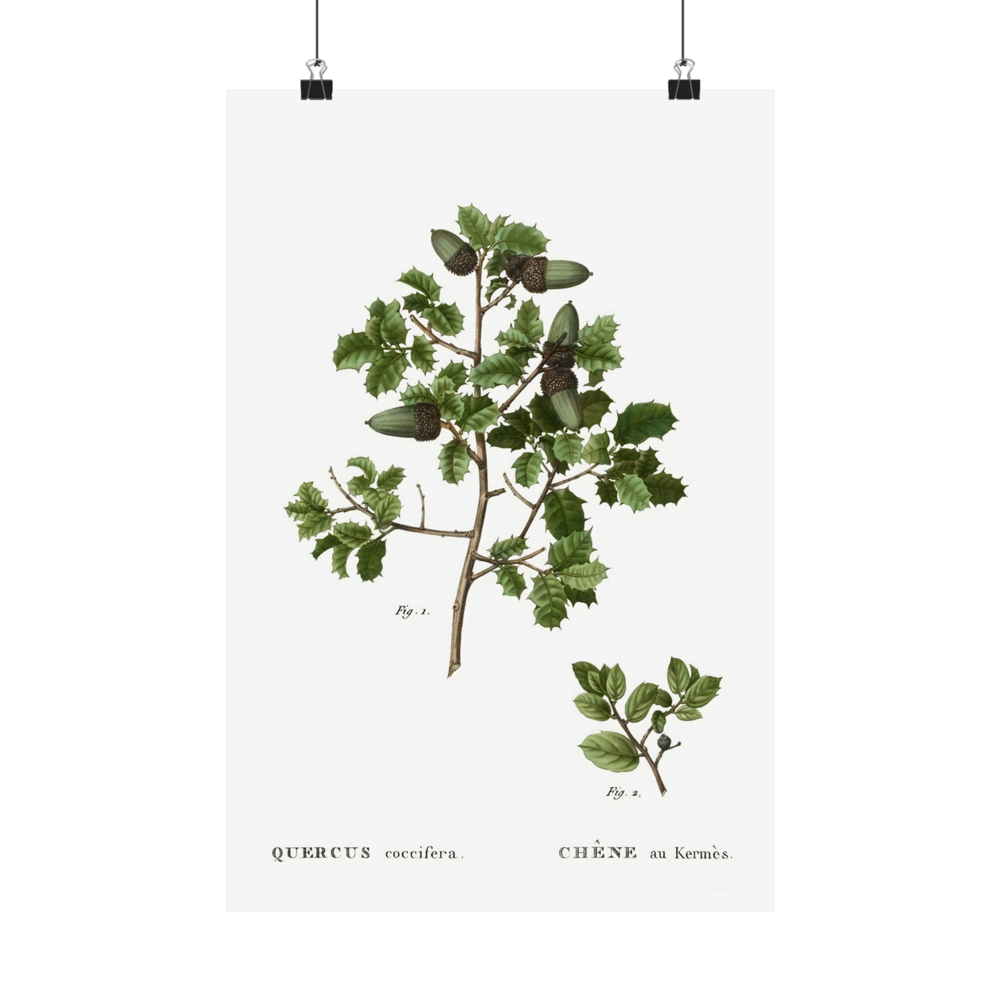 Fall Acorn Wall Art 10