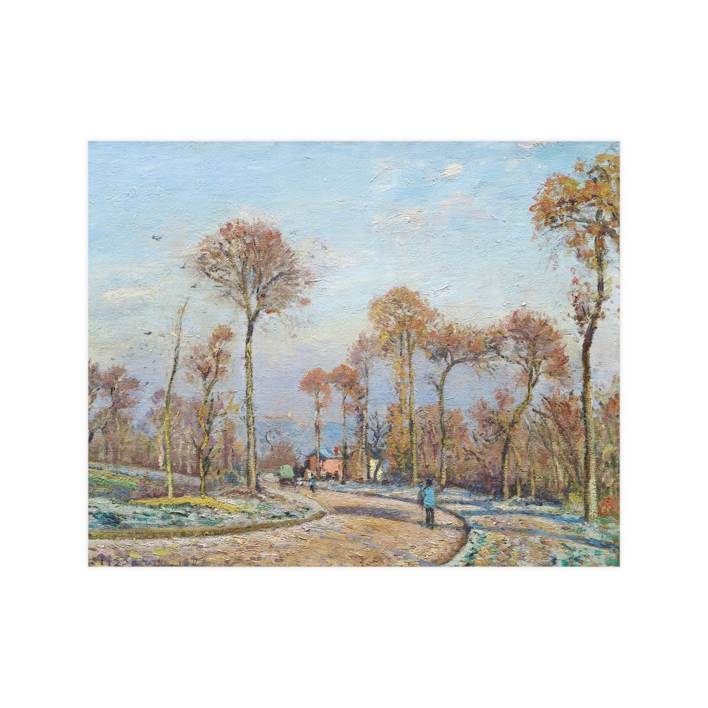 Trees During Fall Season