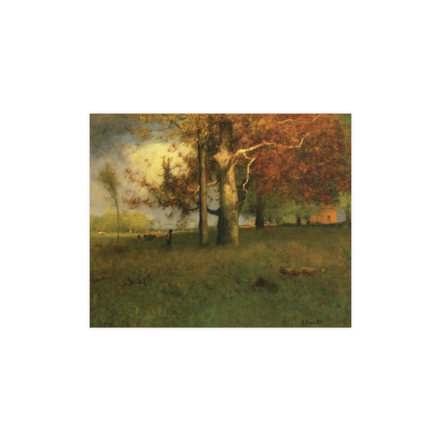 Charming Fall Tree