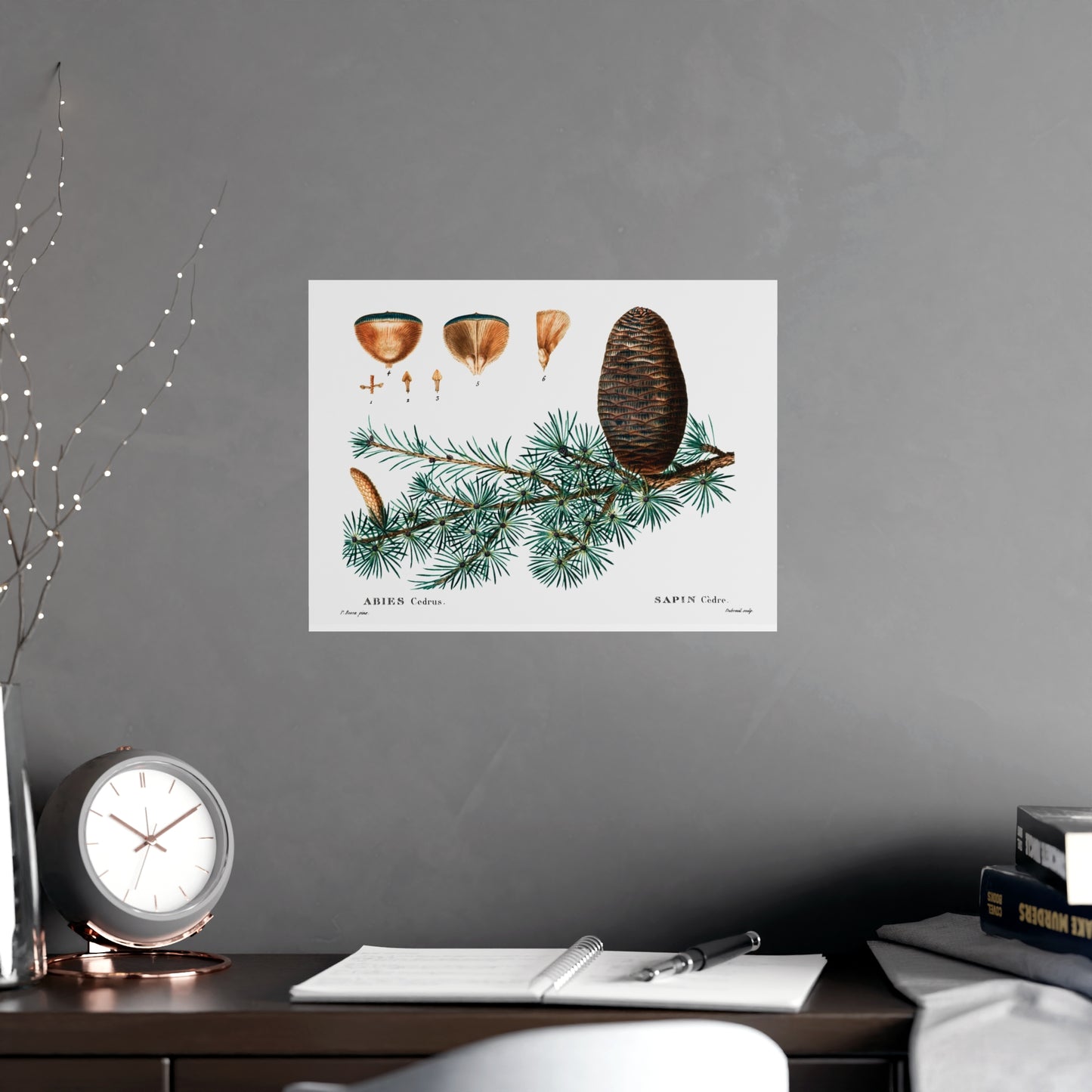 Acorn 9