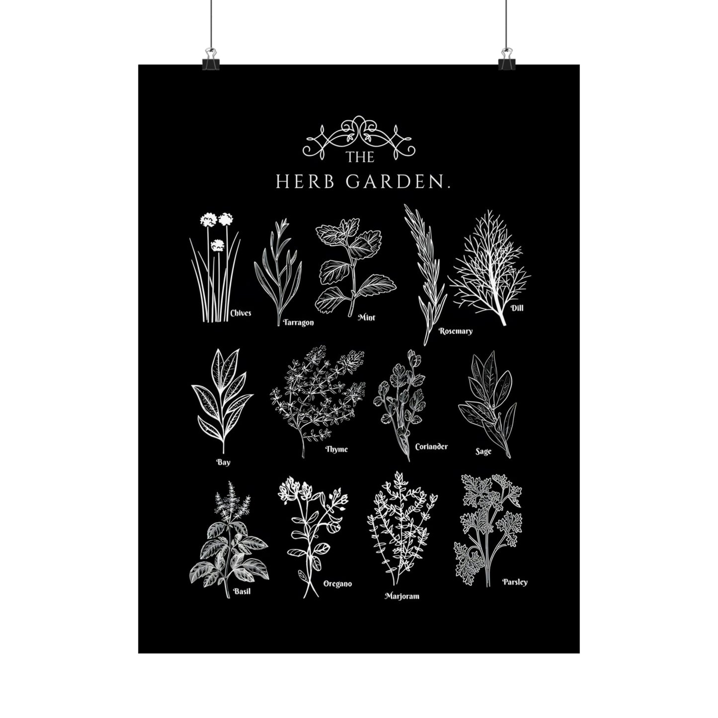 Herbs Garden Poster