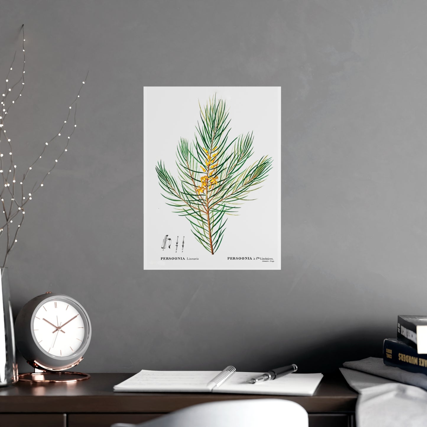 Acorn 11