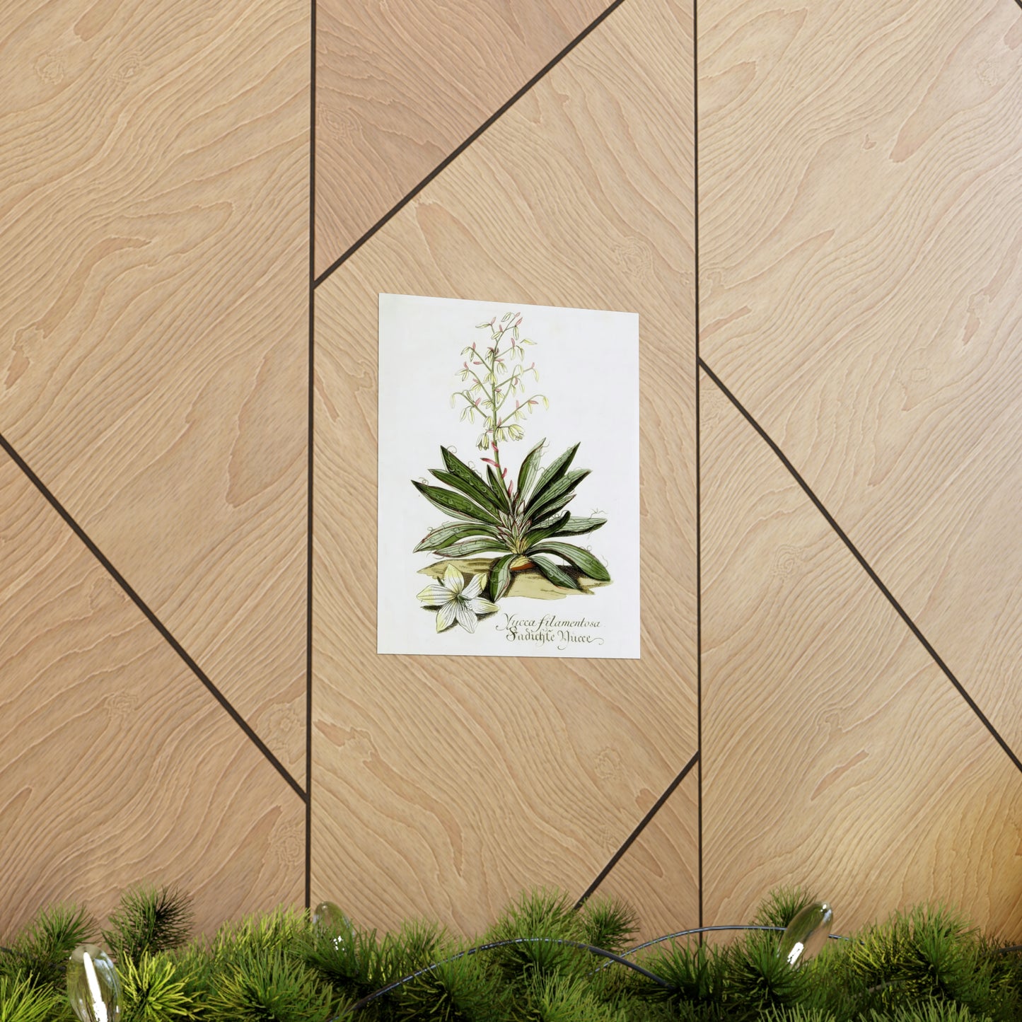 Yucca Filamentosa Flower Wall Print