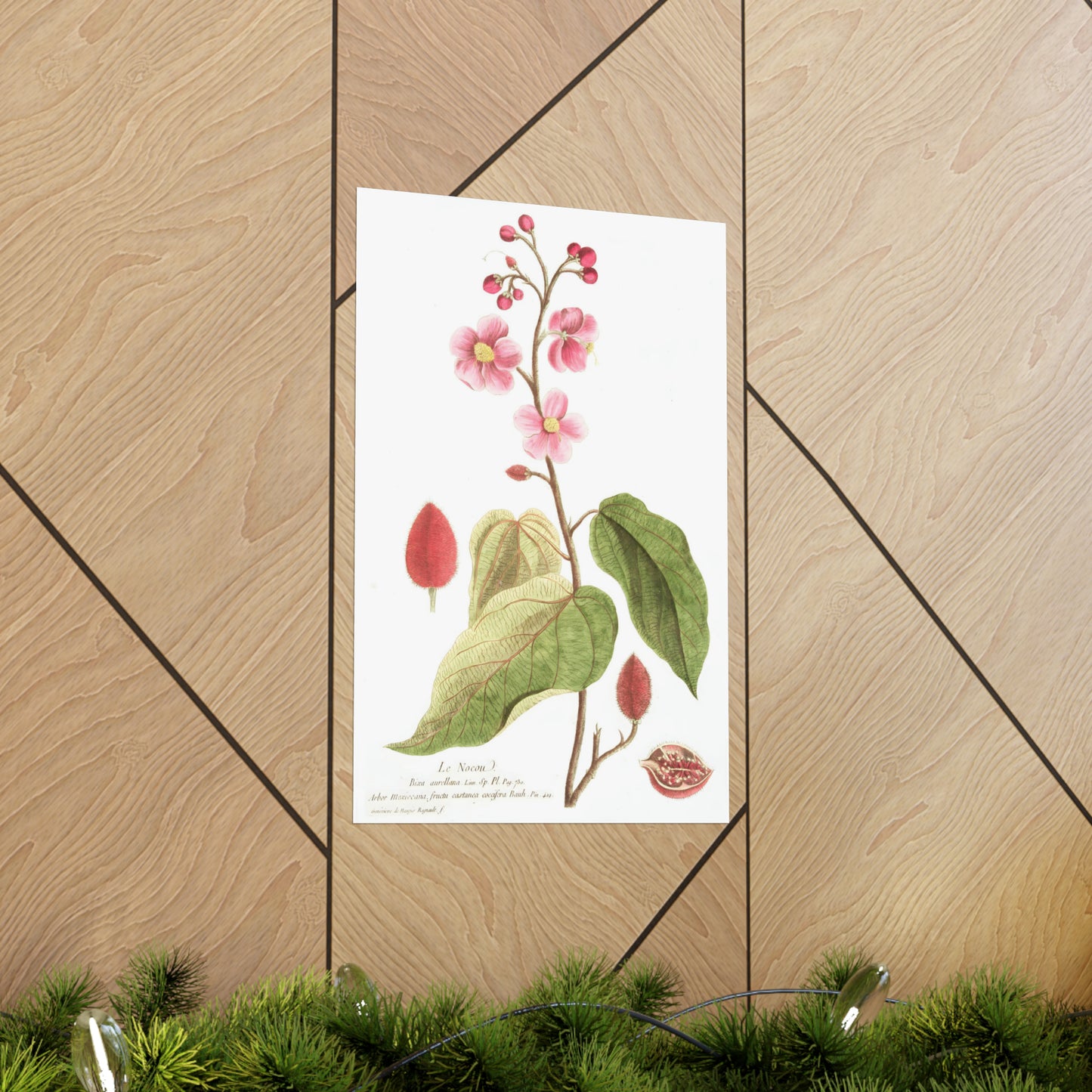 Le Nocou Flower Wall Print