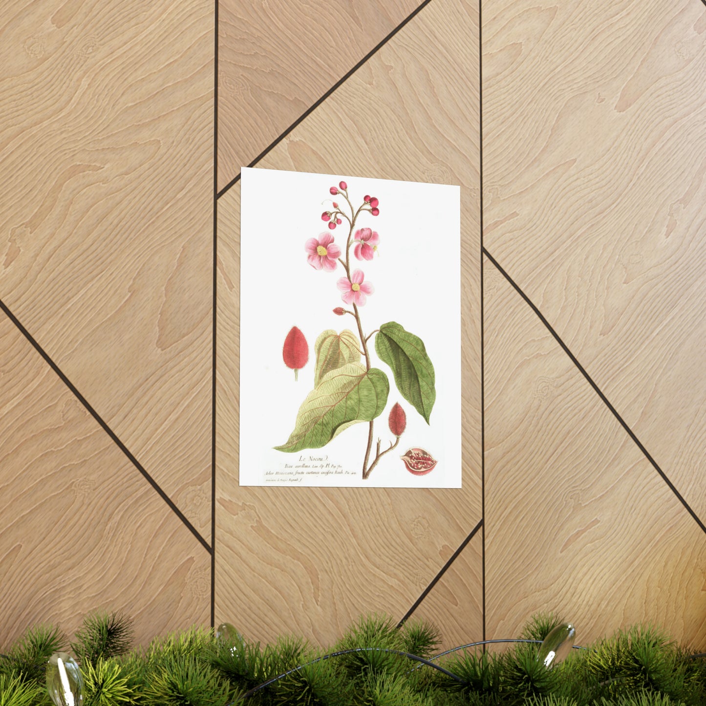 Le Nocou Flower Wall Print