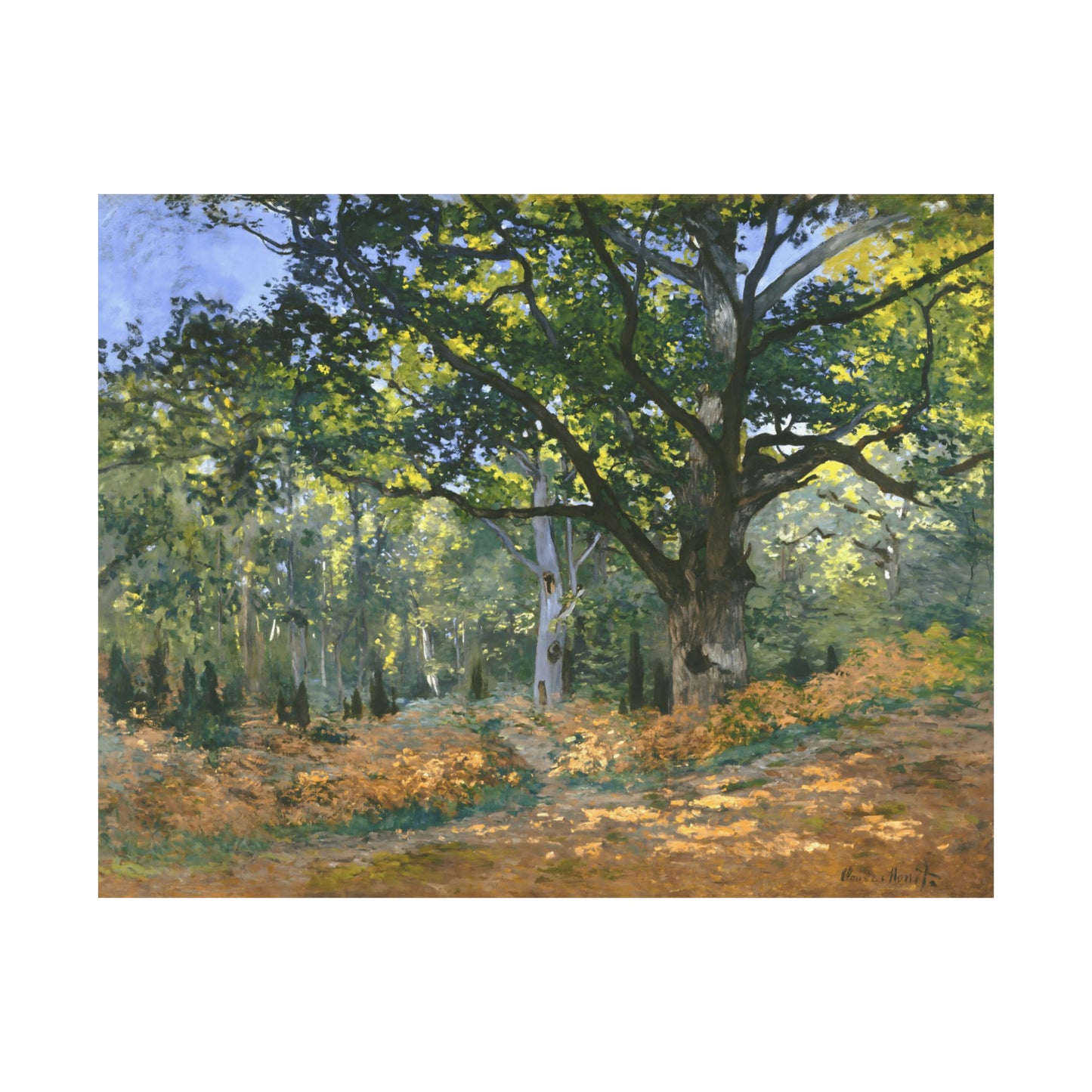 The Bodmer Oak, Fontainebleau Forest