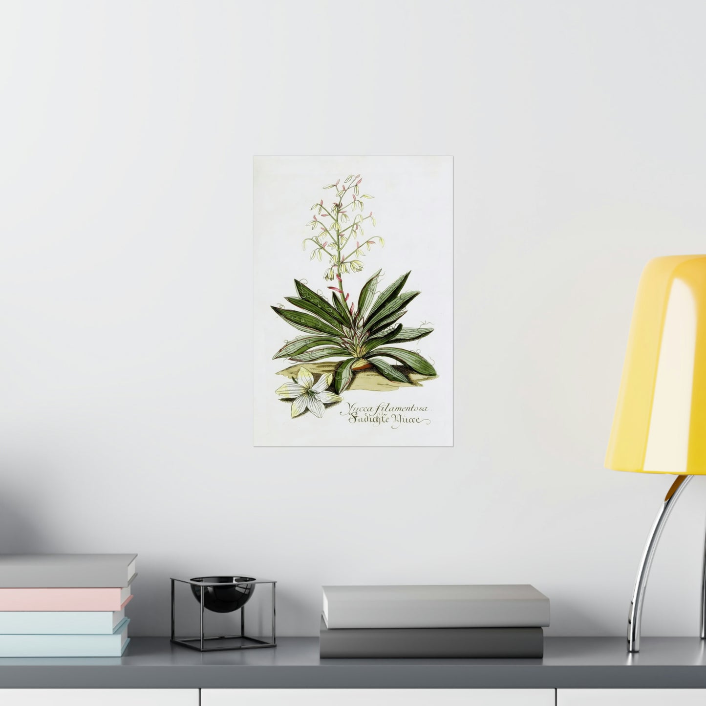 Yucca Filamentosa Flower Wall Print