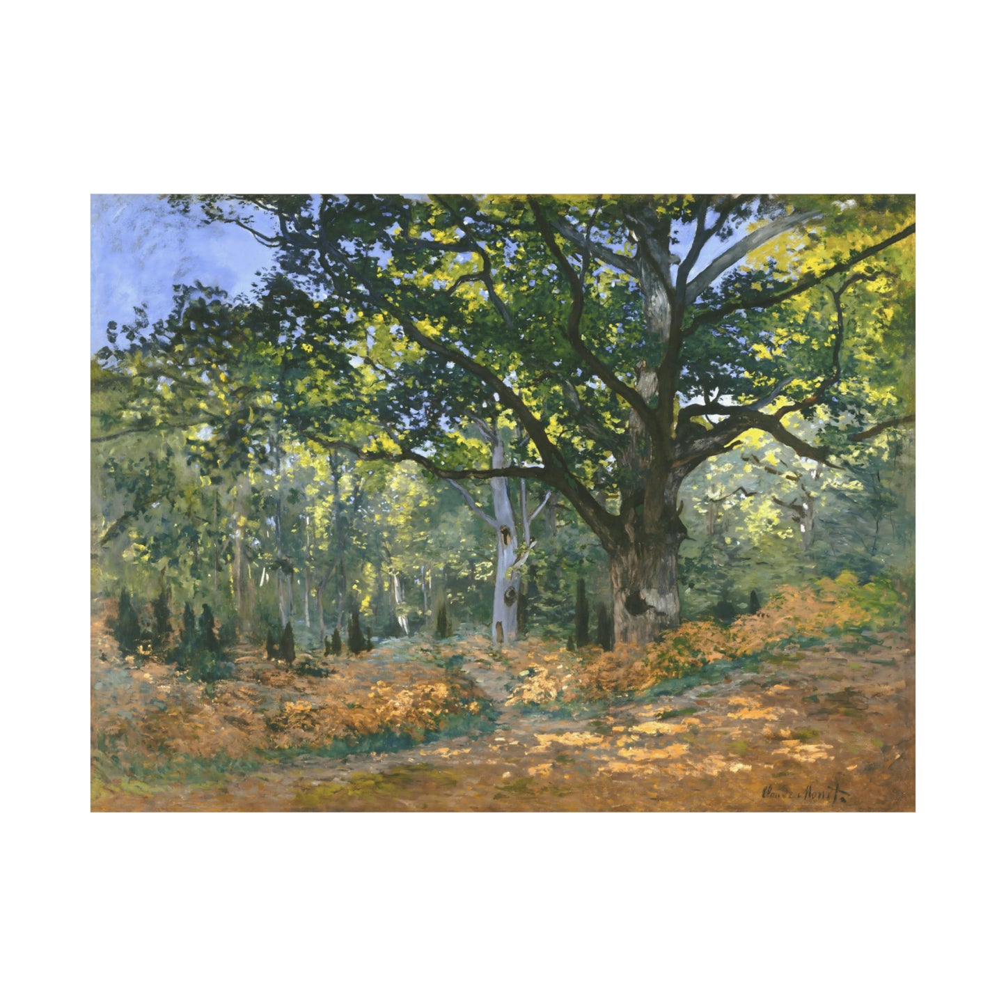The Bodmer Oak, Fontainebleau Forest