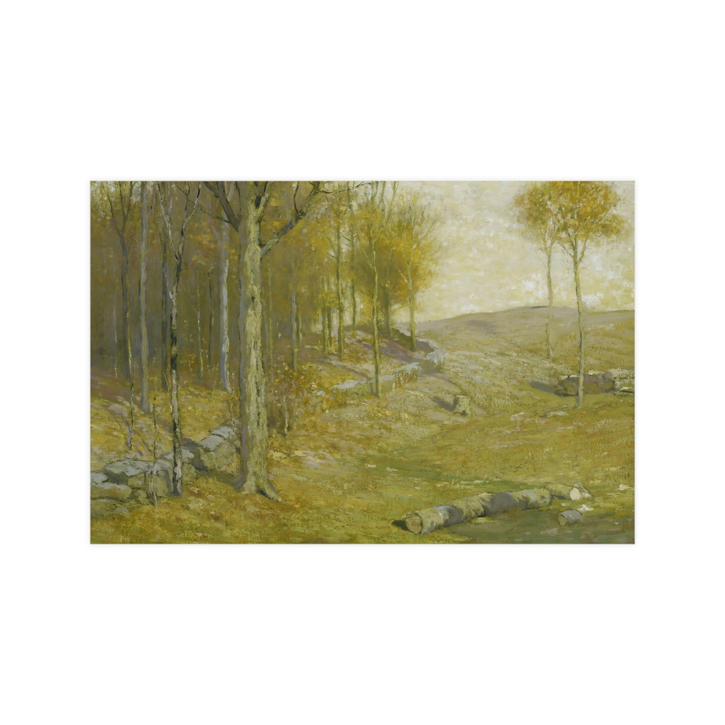 Autumn in the Forest
