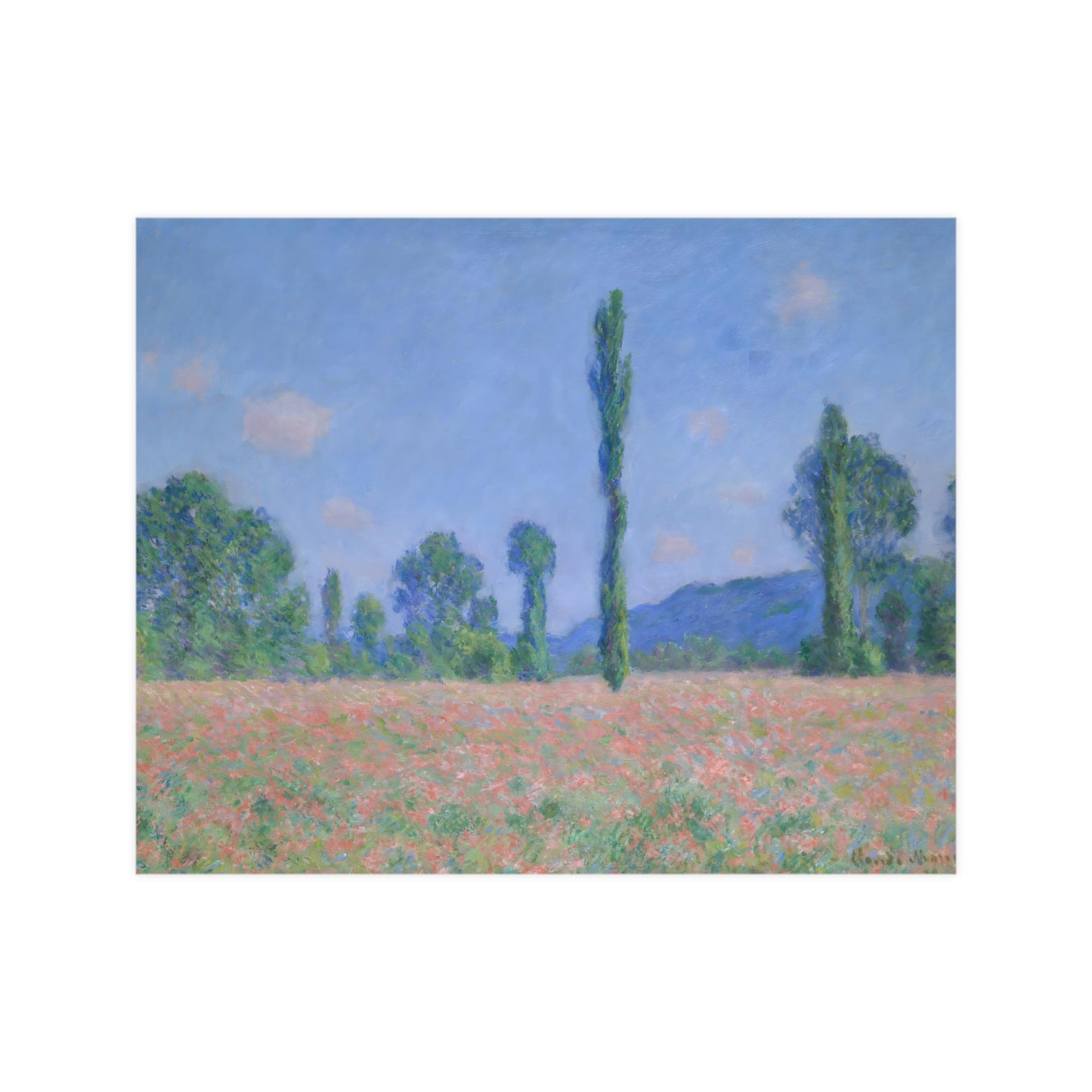 Poppy Field Wall Prints