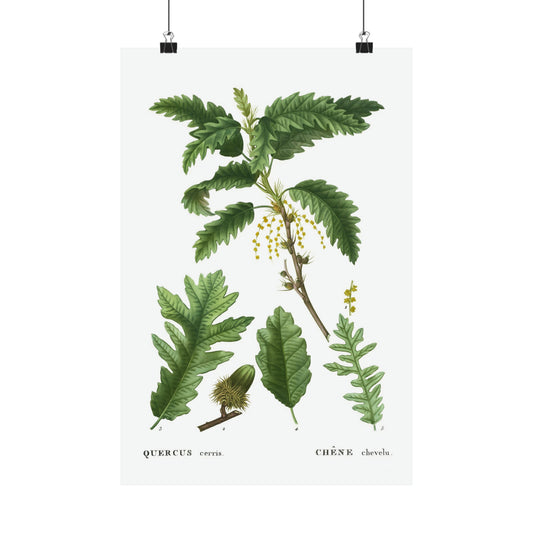 Fall Acorn Wall Art 6
