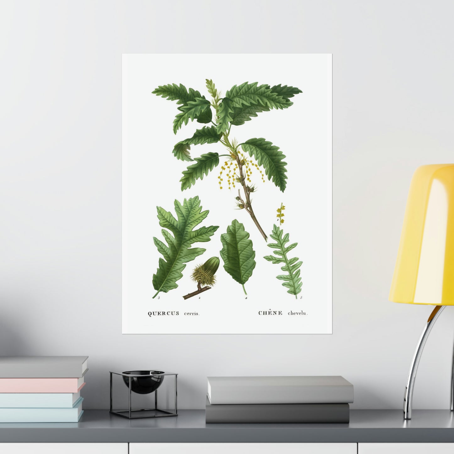 Fall Acorn Wall Art 6