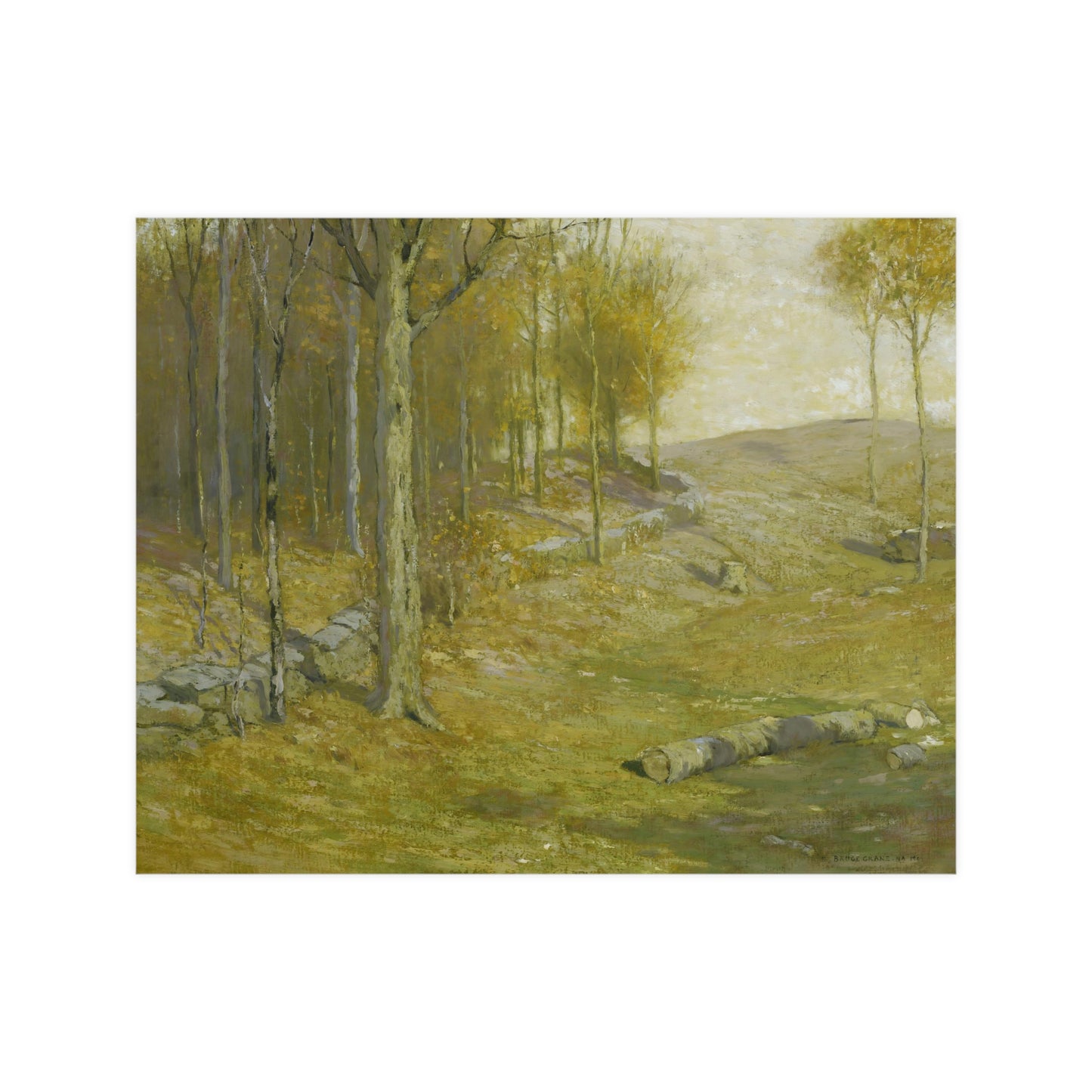 Autumn in the Forest