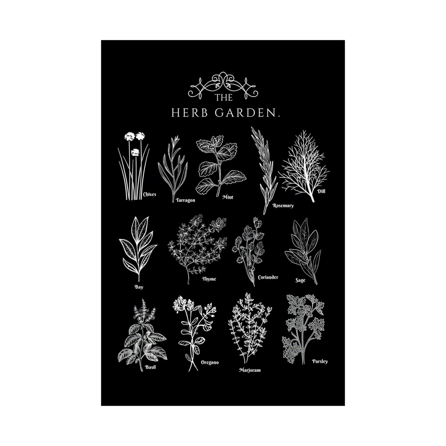 Herbs Garden Poster