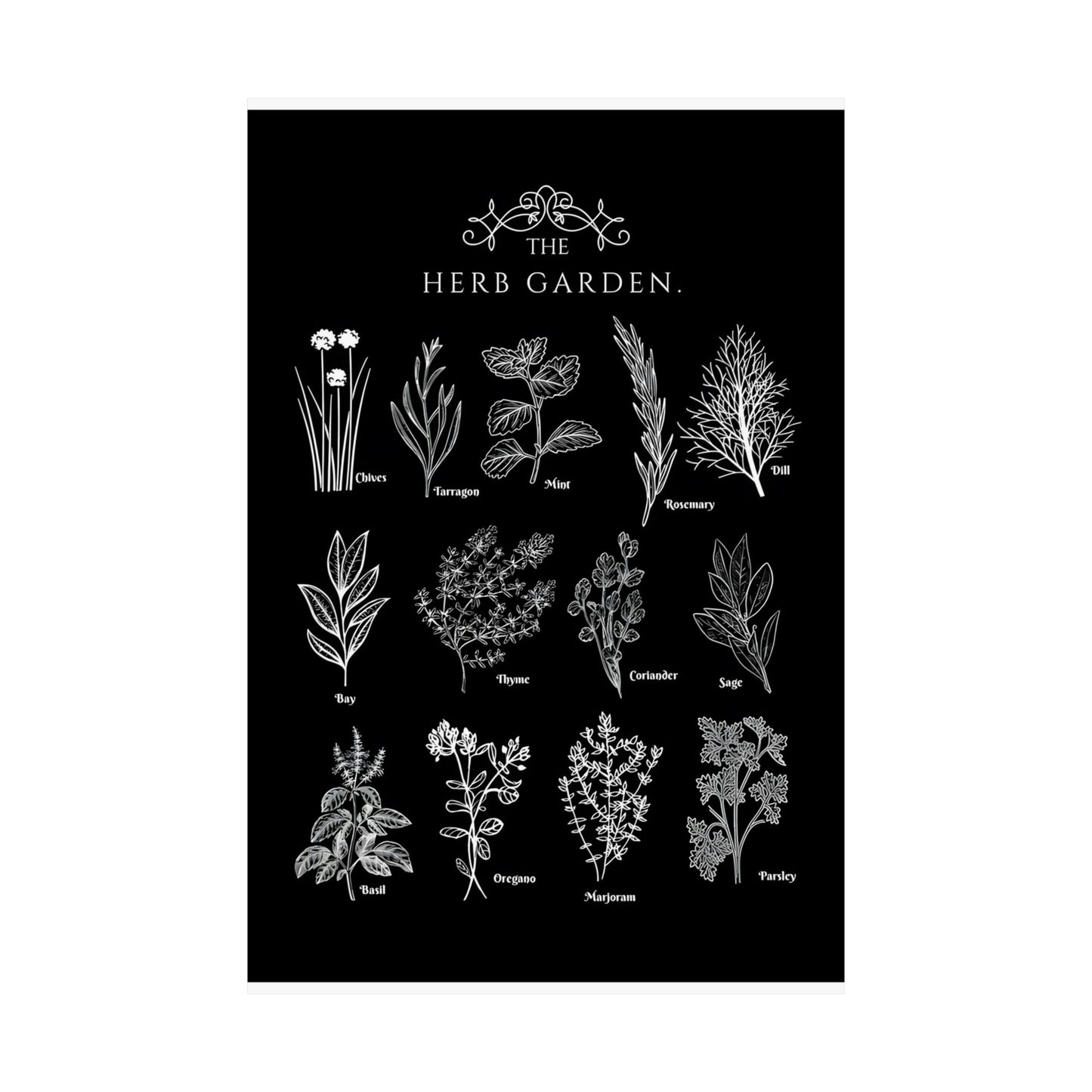 Herbs Garden Poster