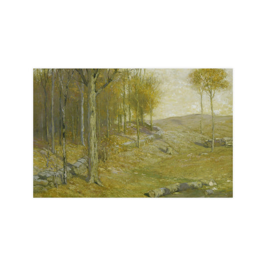 Autumn in the Forest