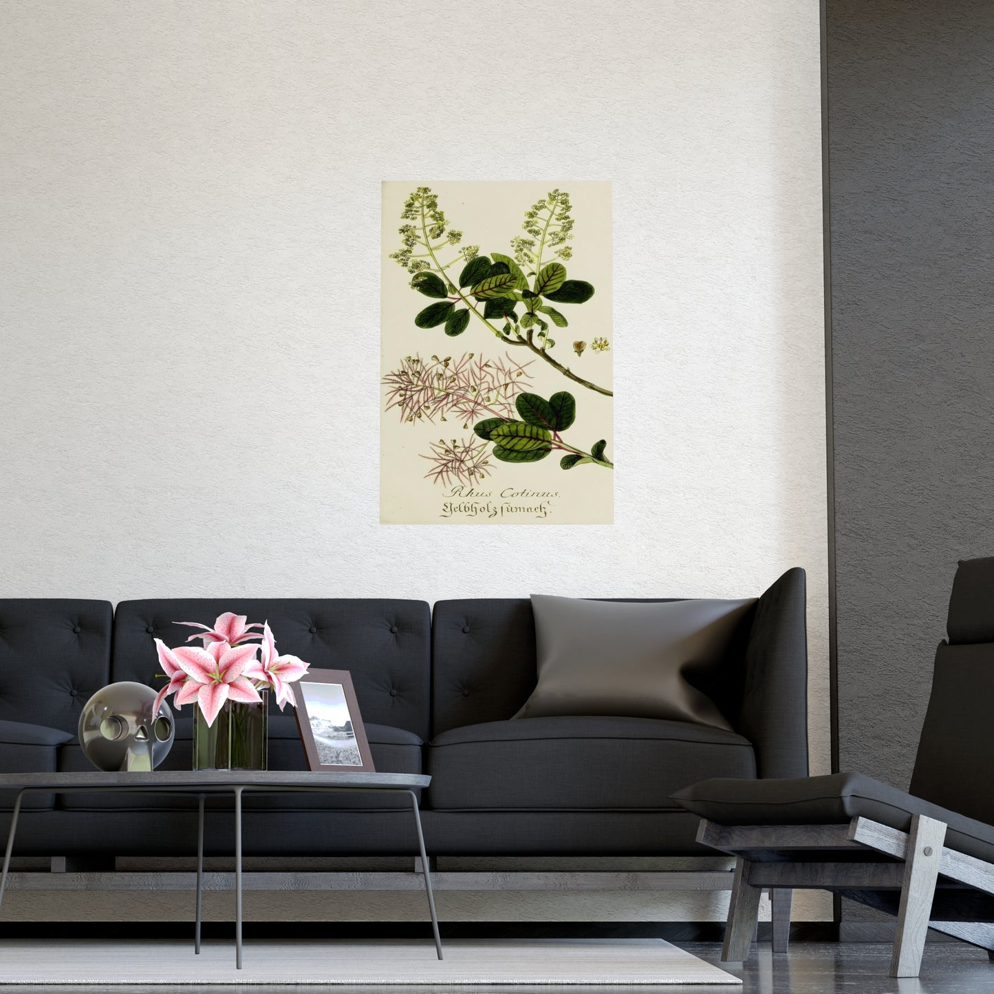 Cotinus Wig Tree Wall Art Prints