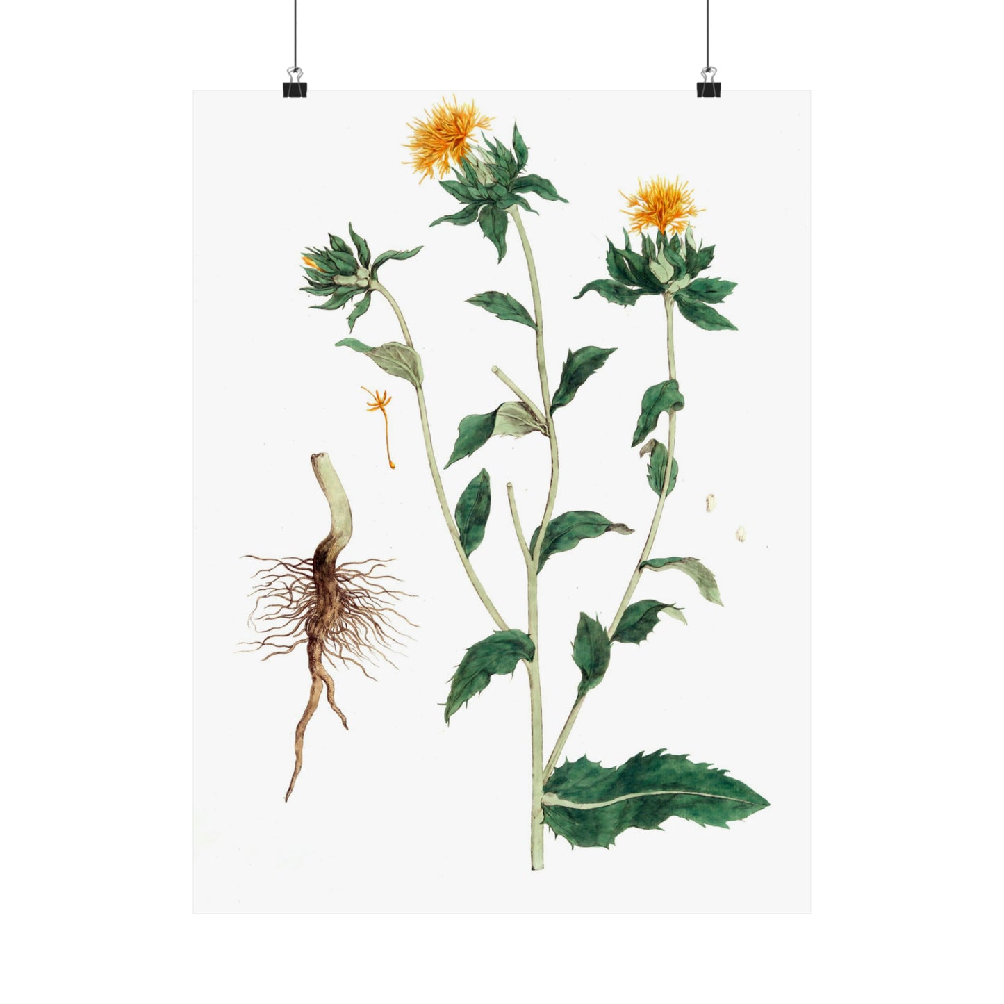 Yellow Floral Stem