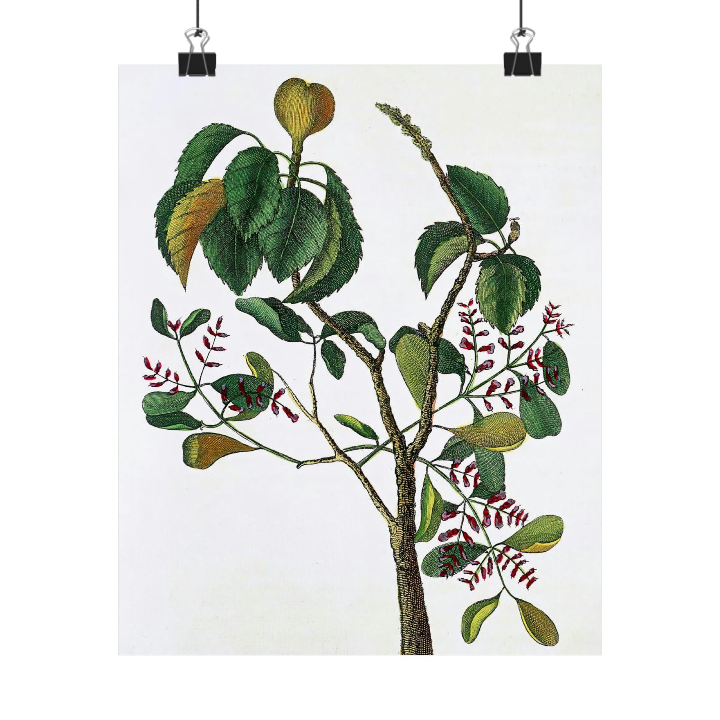 Yellow Tree Branch