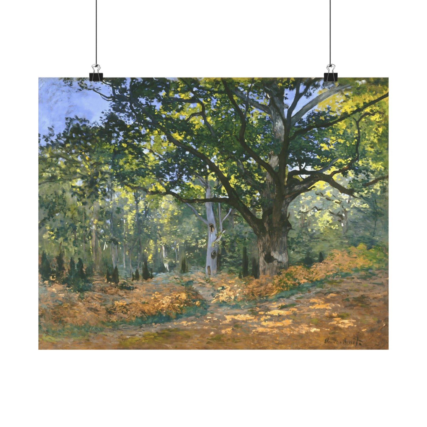 The Bodmer Oak, Fontainebleau Forest