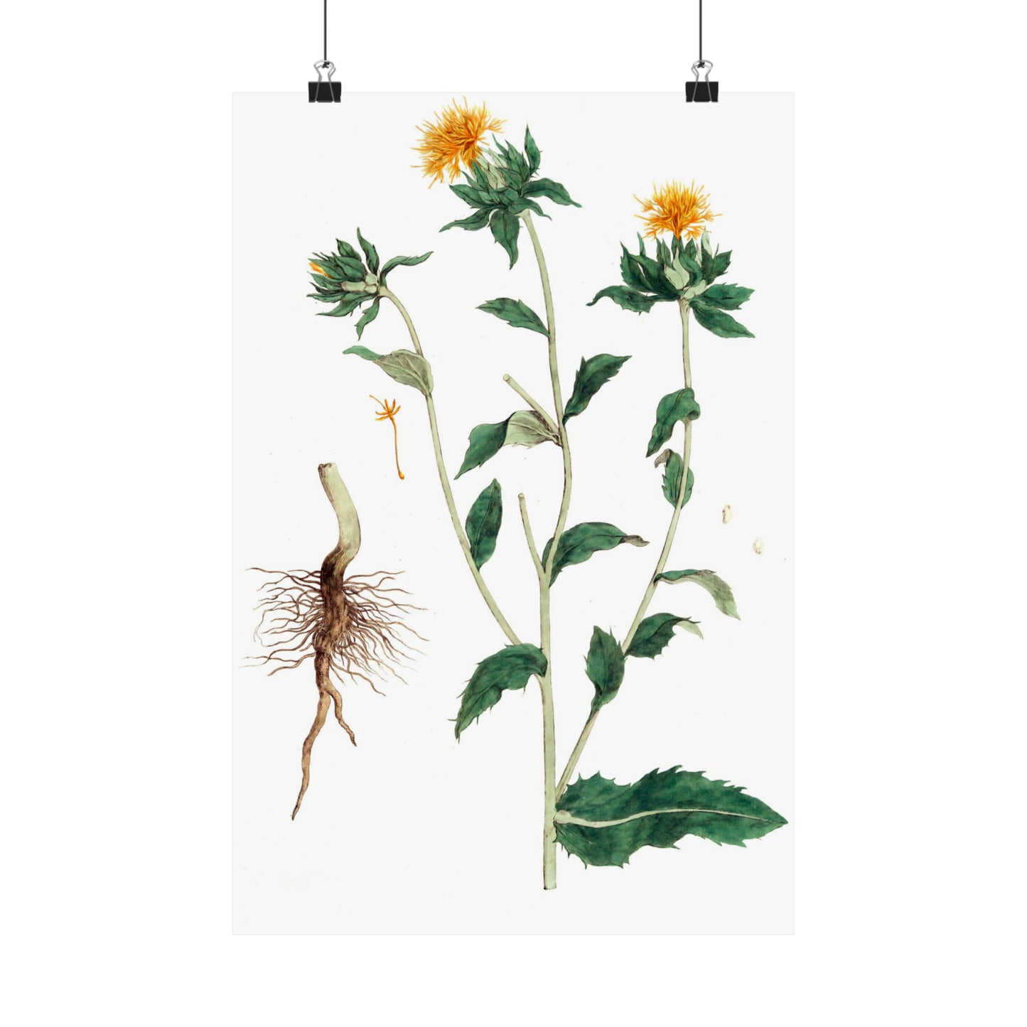 Yellow Floral Stem