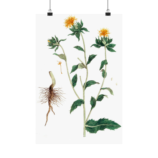 Yellow Floral Stem