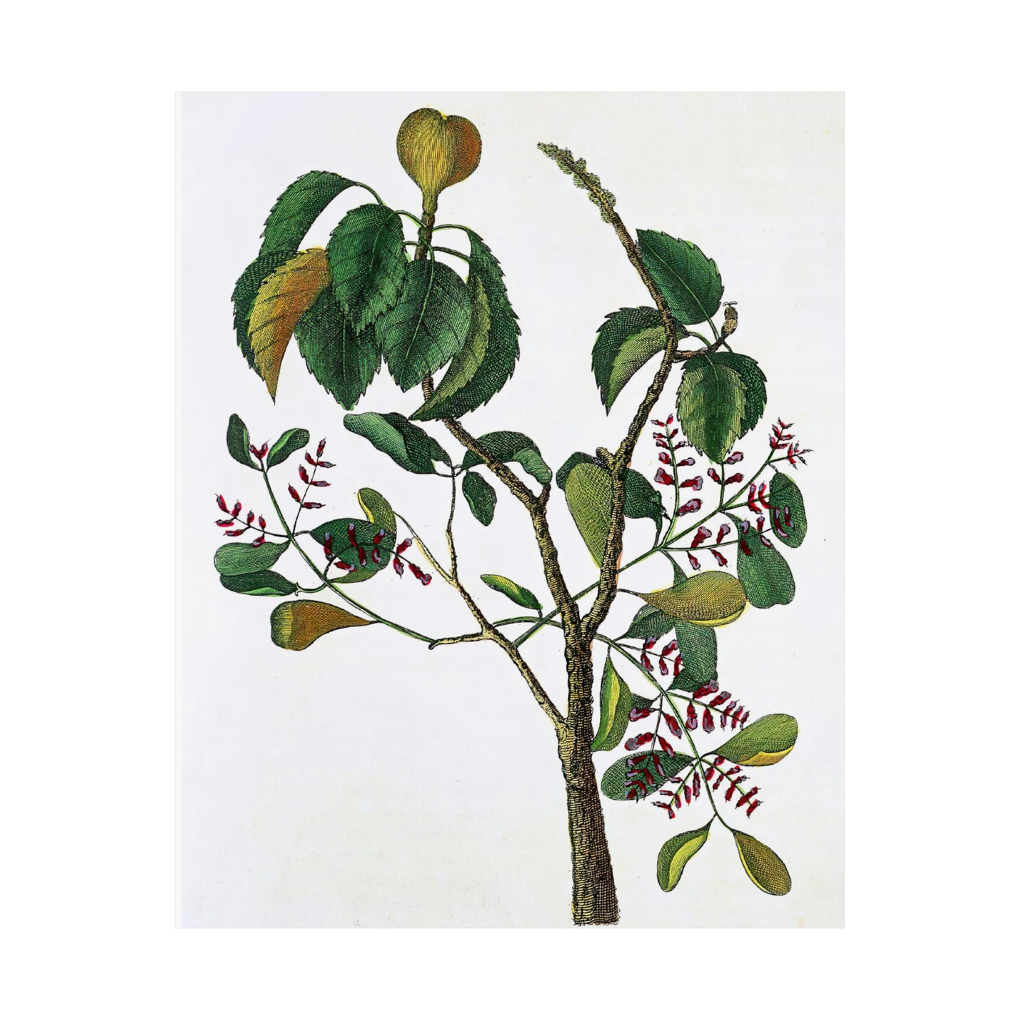 Yellow Tree Branch