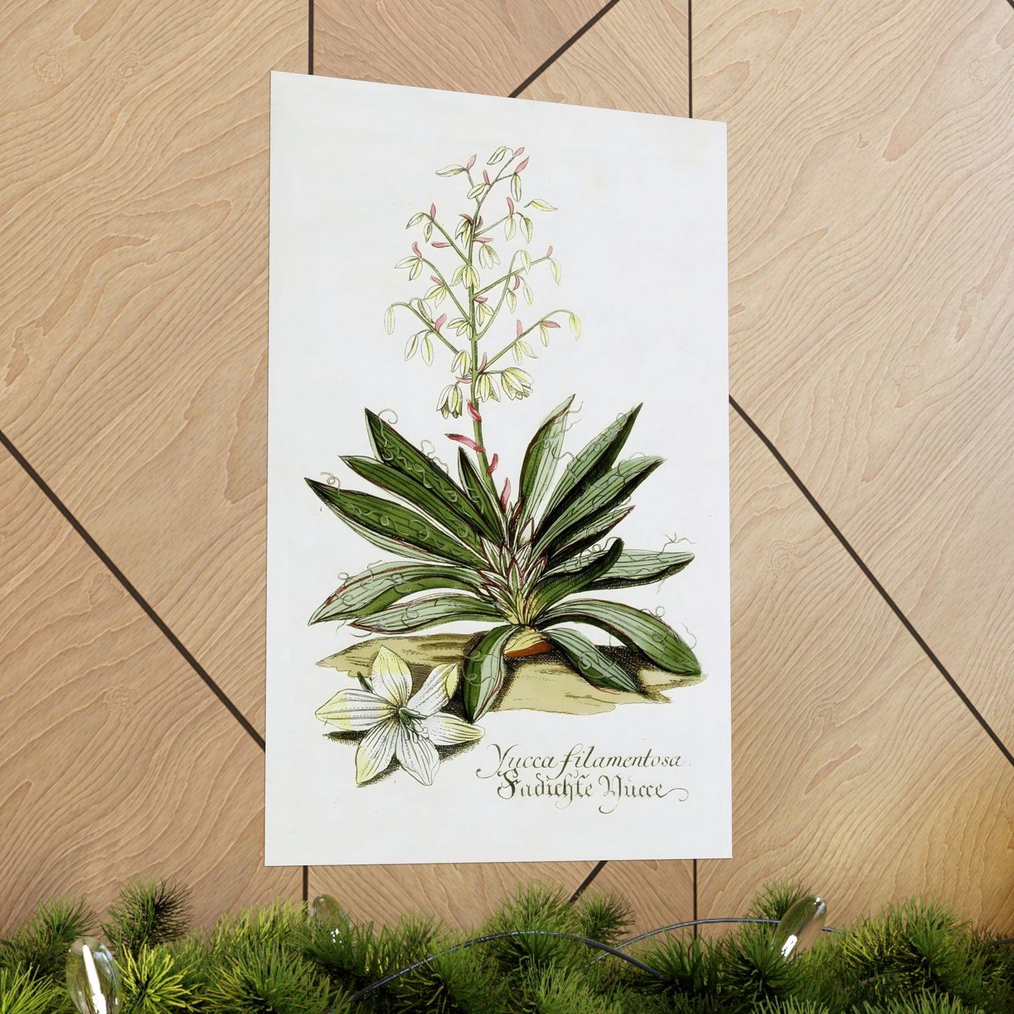 Yucca Filamentosa Flower Wall Print