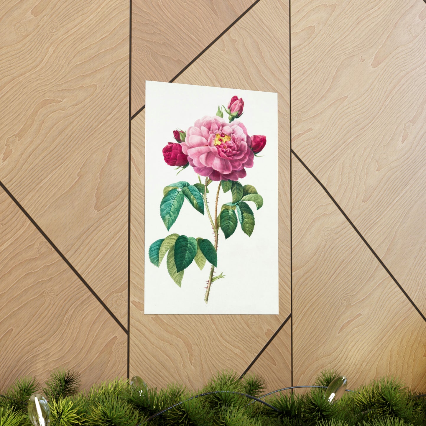 Bright Pink Rose with 2 Buds