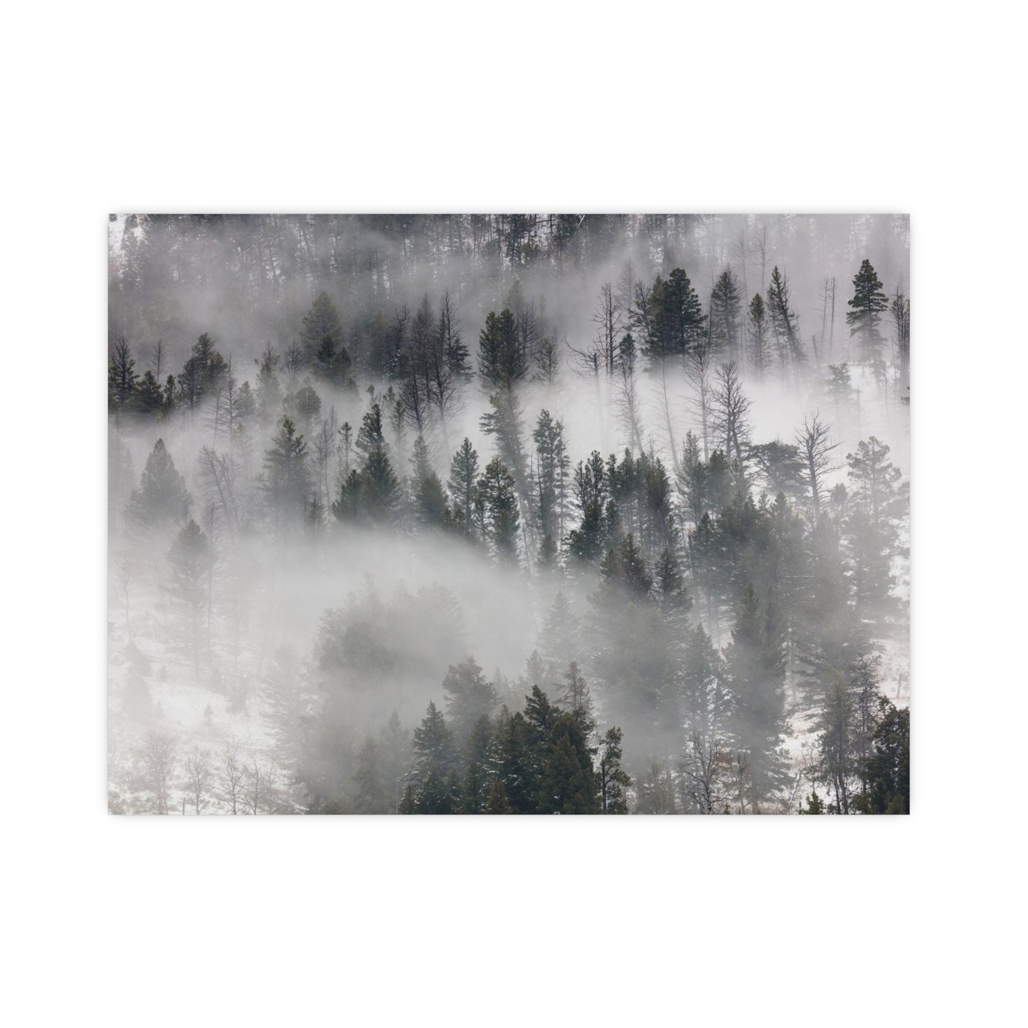 Winter Forrest Art