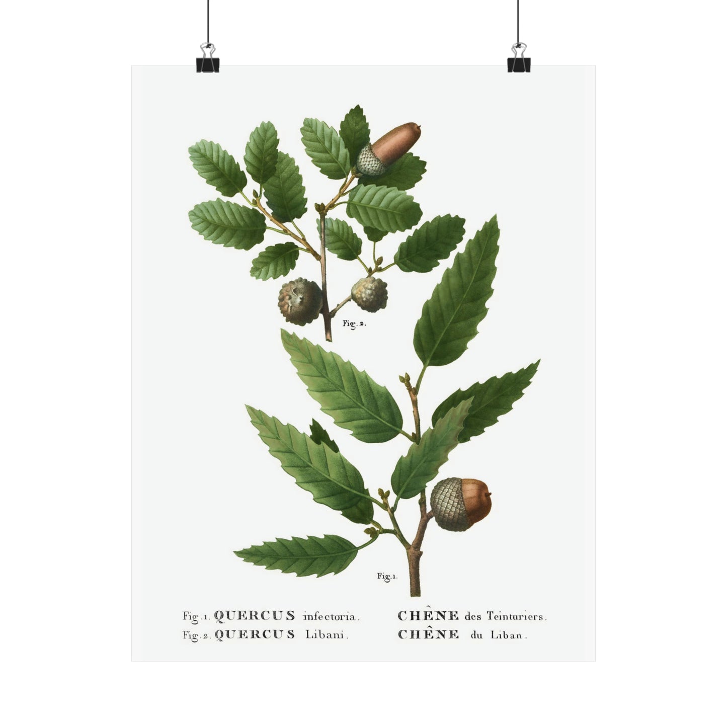 Fall Acorn Wall Art 3
