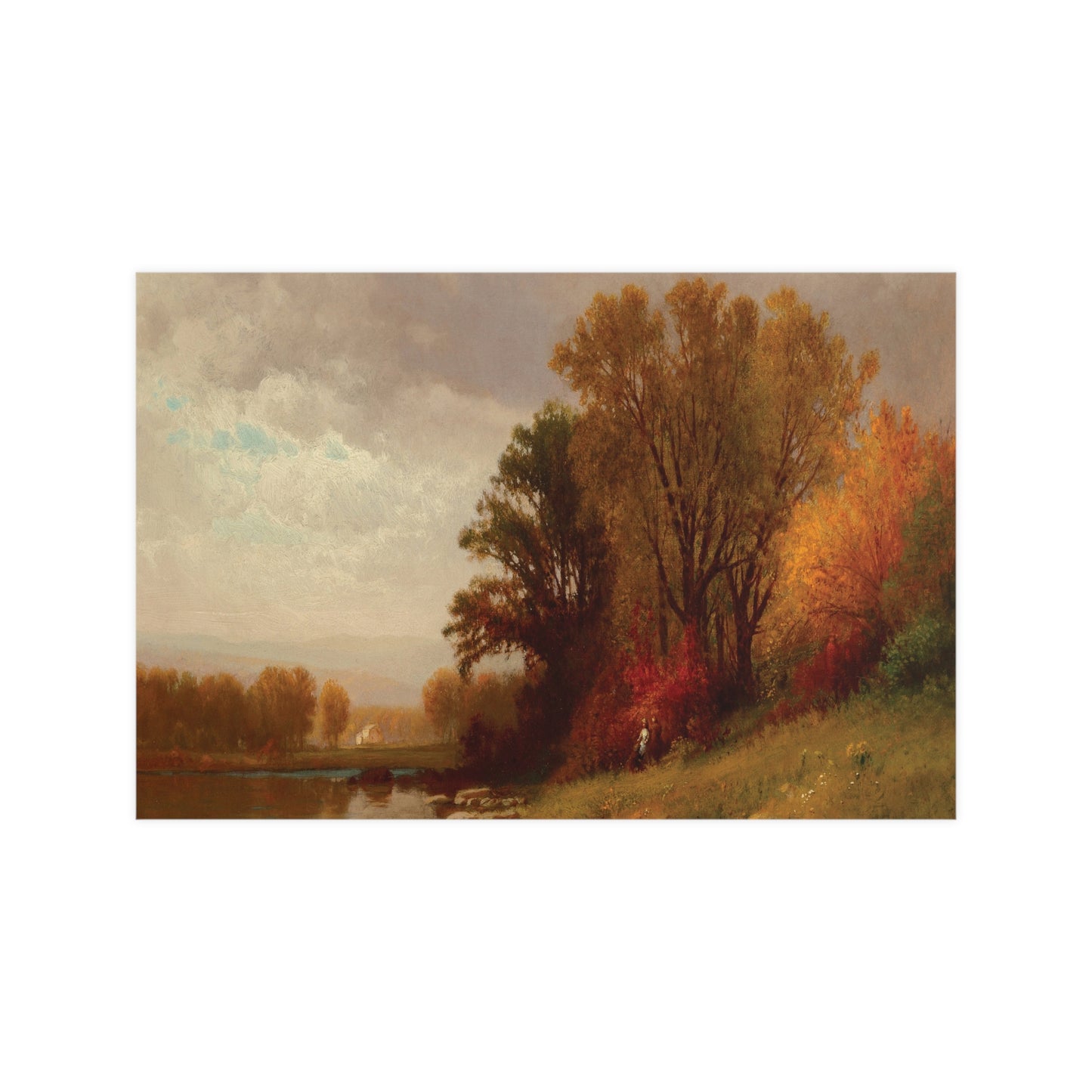 Fall Foliage at Sunset