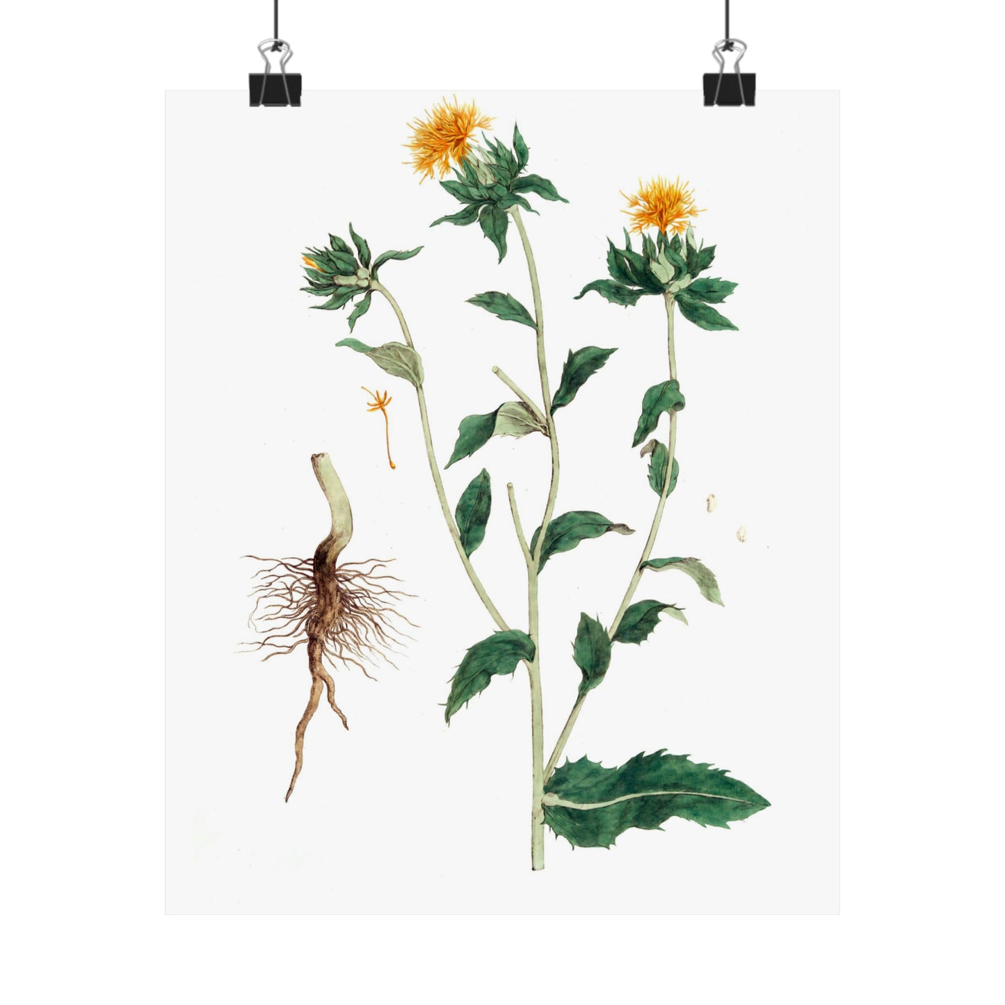 Yellow Floral Stem