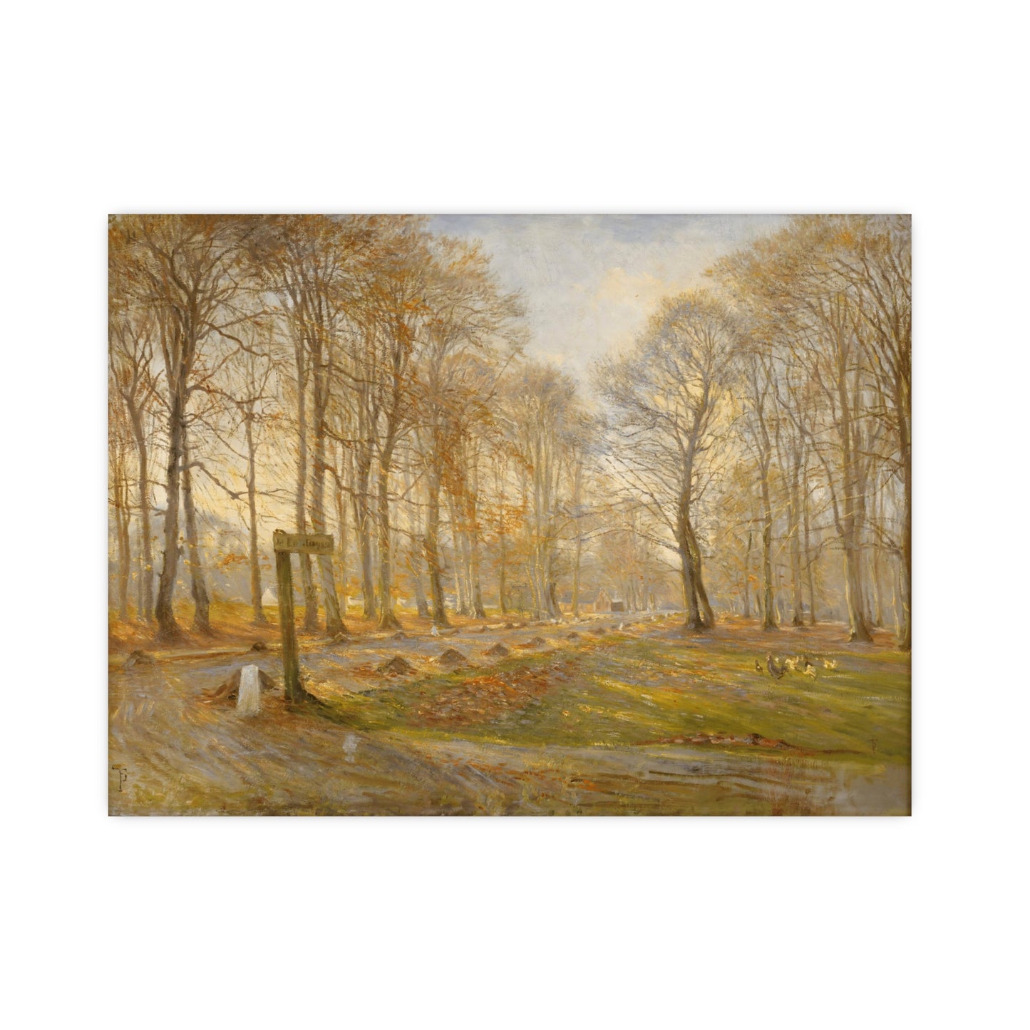 Late Autumn Day