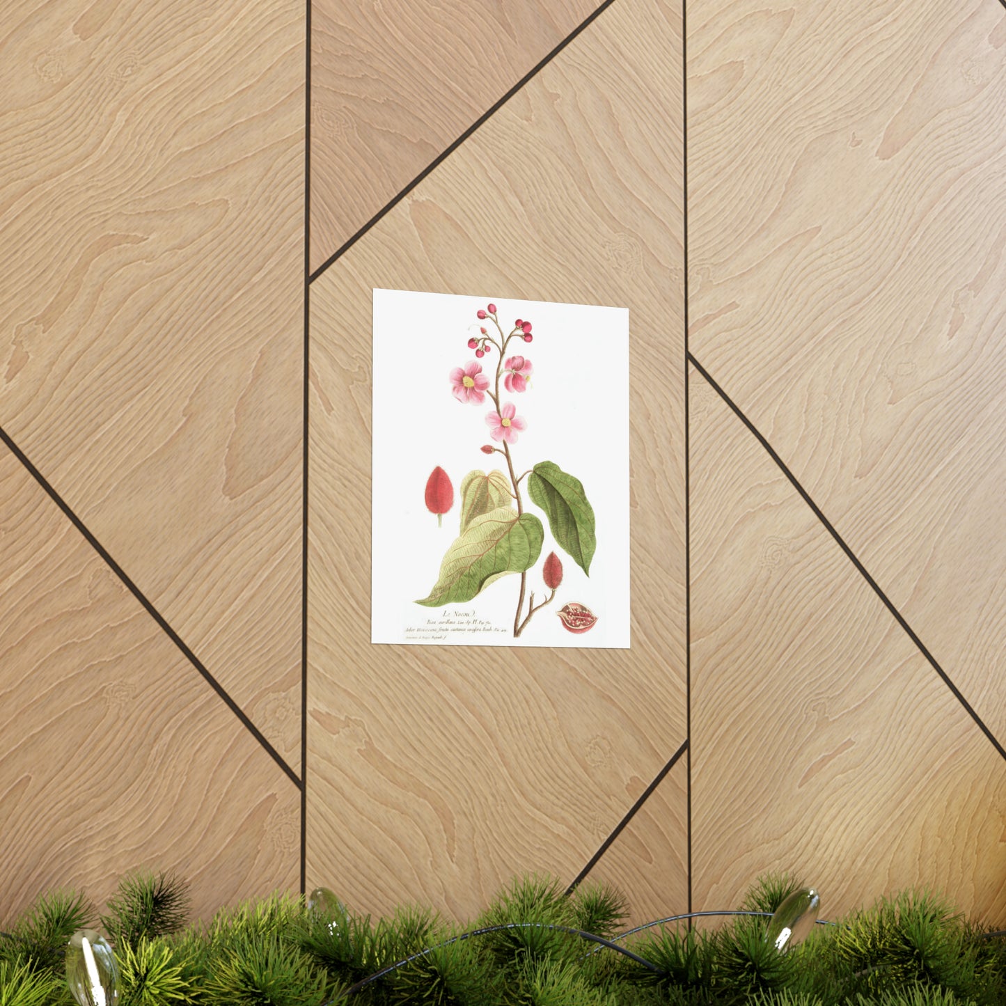Le Nocou Flower Wall Print