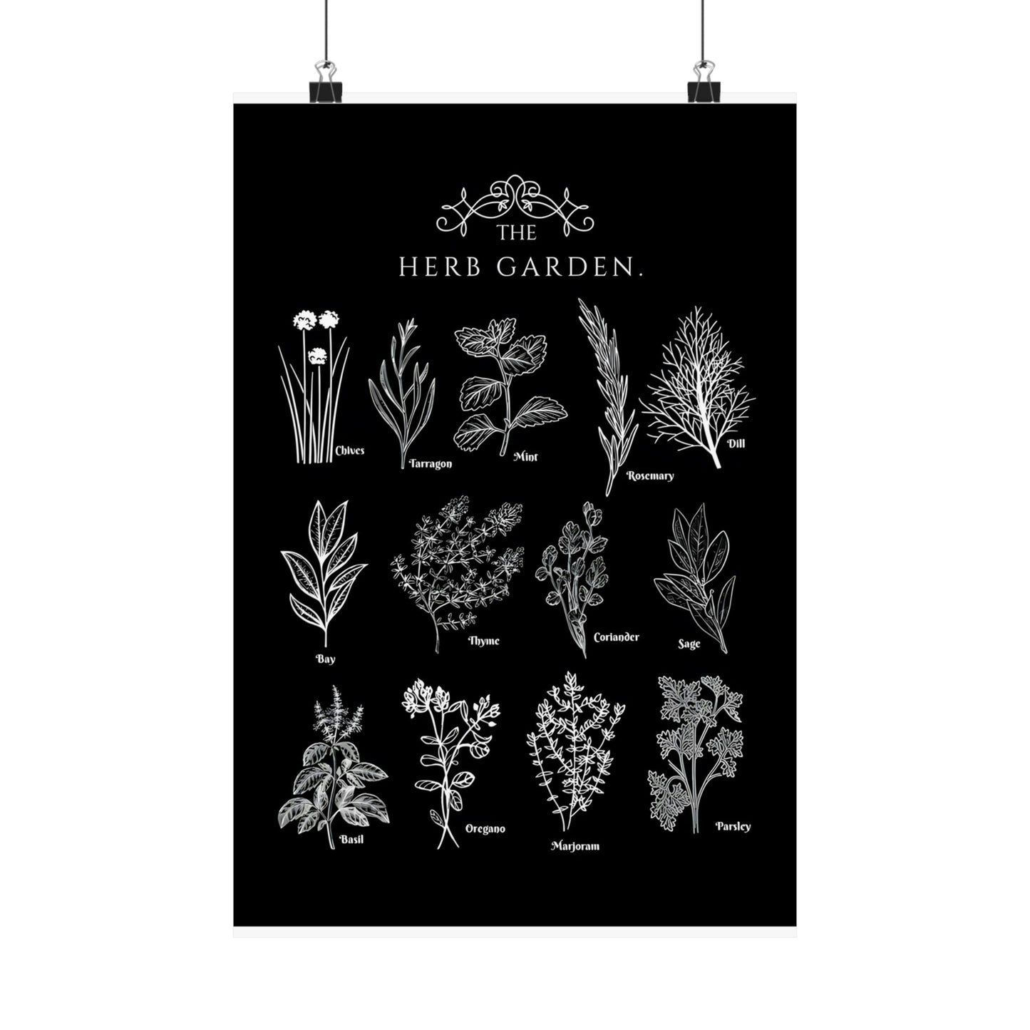 Herbs Garden Poster