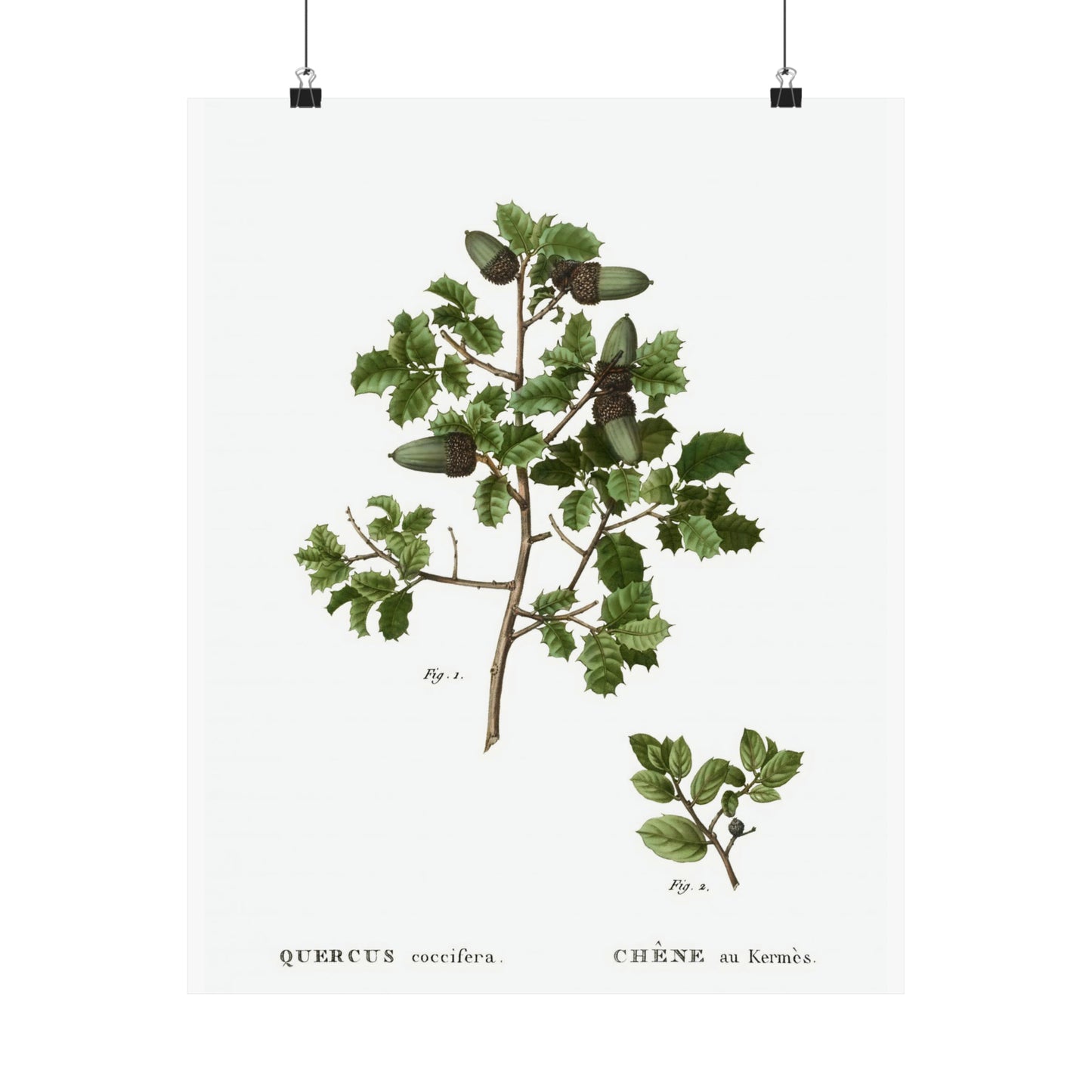 Fall Acorn Wall Art 10