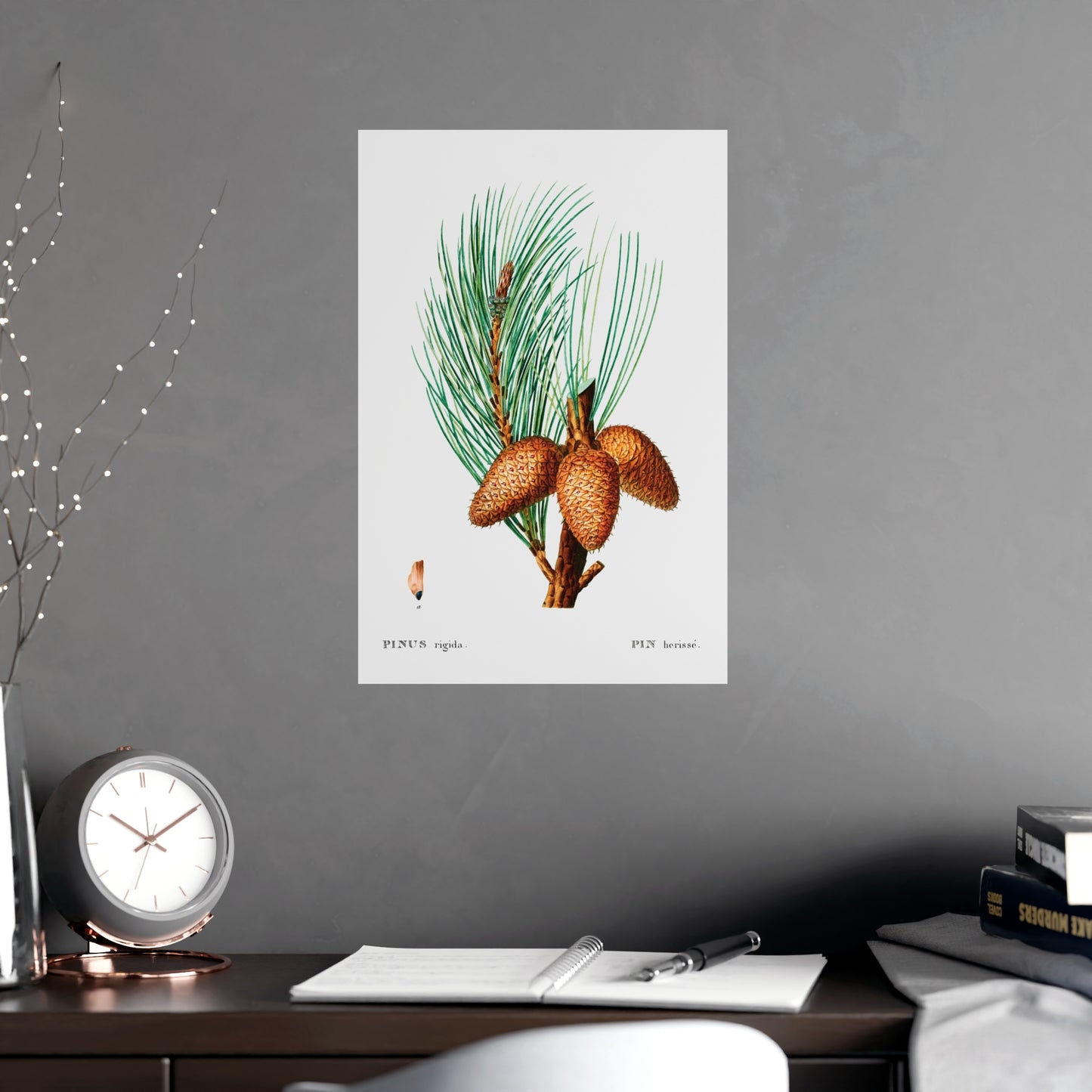Acorn 13