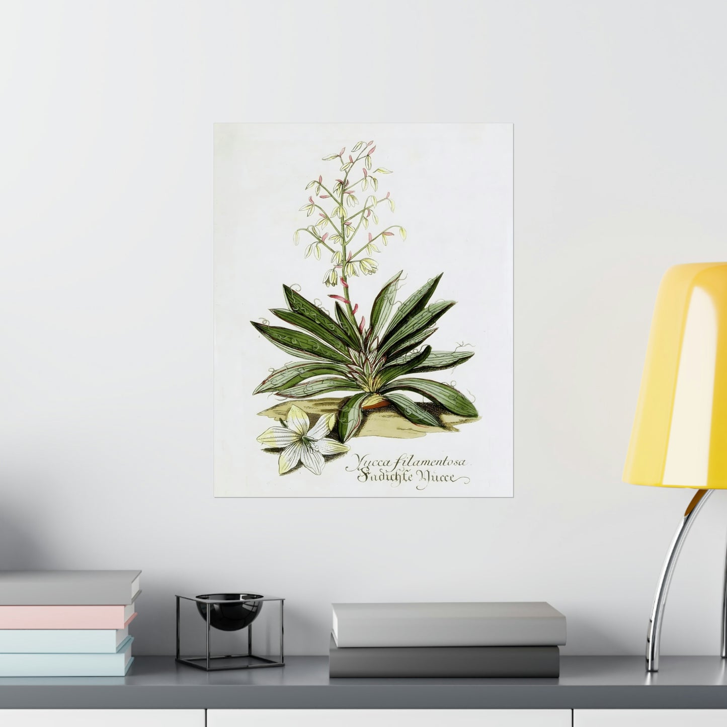 Yucca Filamentosa Flower Wall Print