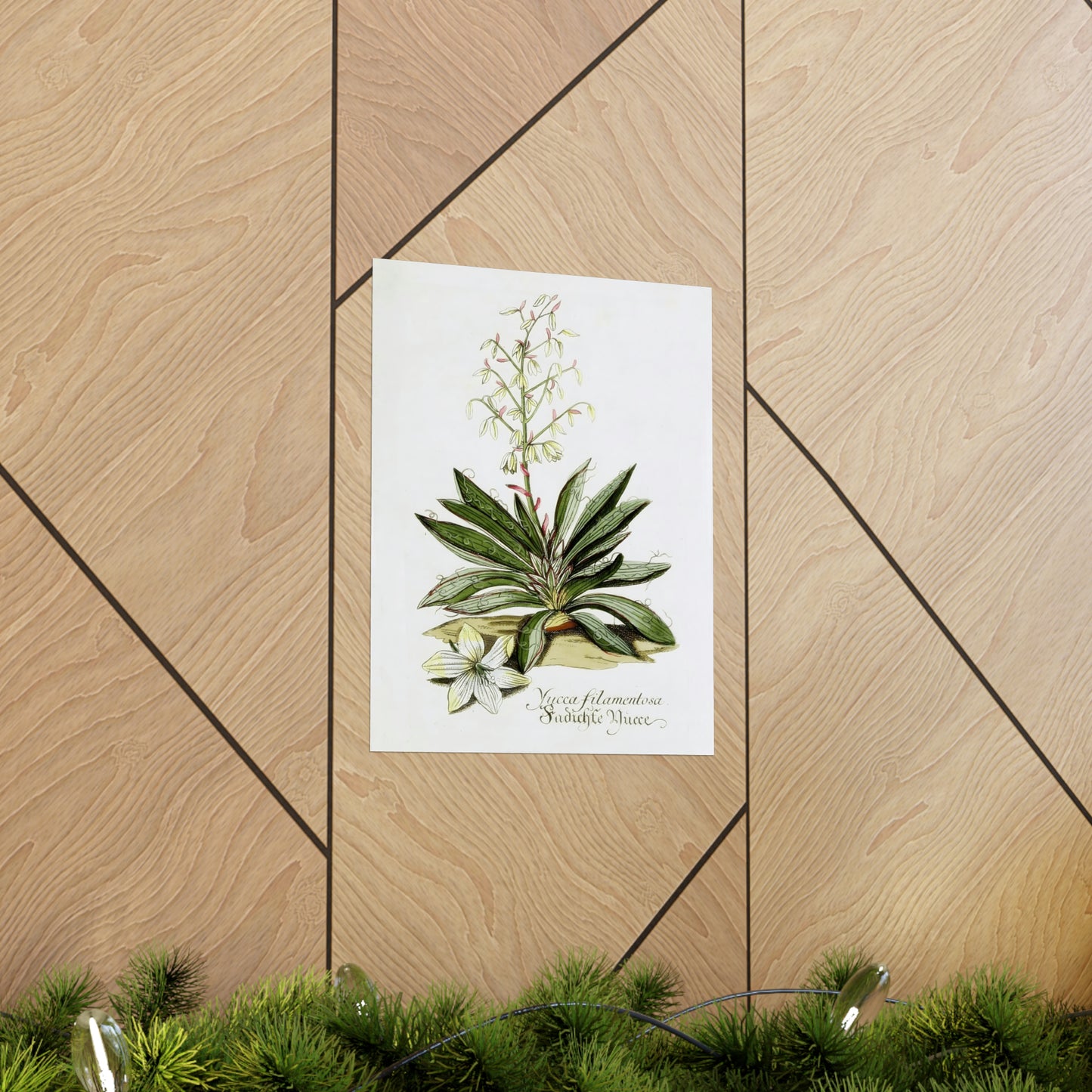 Yucca Filamentosa Flower Wall Print