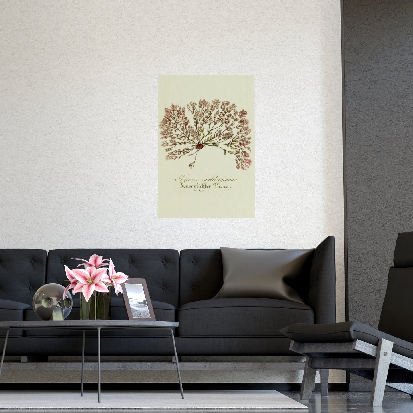 Fucus Wall Art Prints