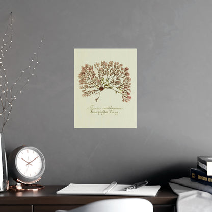 Fucus Wall Art Prints