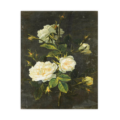 Vintage White Roses