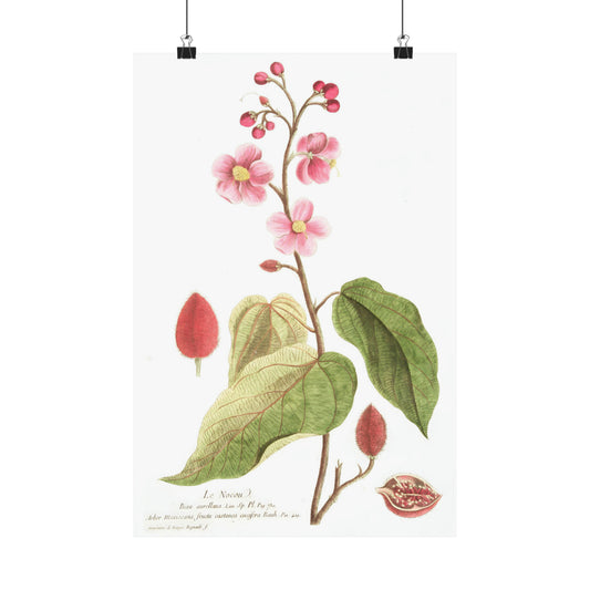 Le Nocou Flower Wall Print